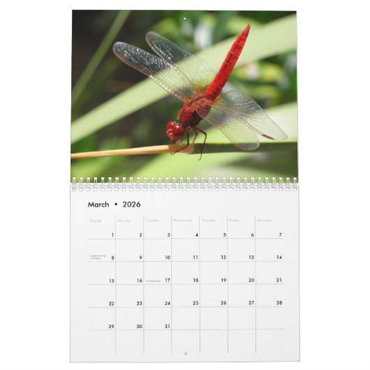 2025 Dragonfly Kalender (Mar 2026)