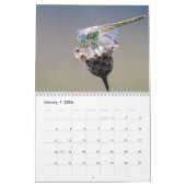 2025 Dragonfly Kalender (Jan 2026)