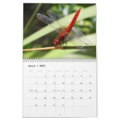 2025 Dragonfly Kalender (Mar 2027)