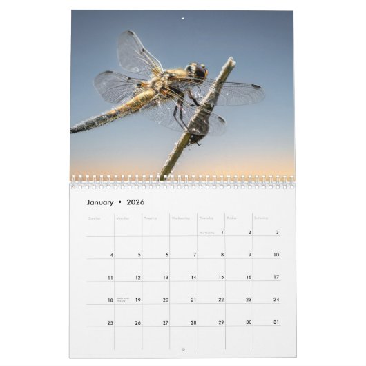 2025 Dragonfly Kalender (Jan 2026)