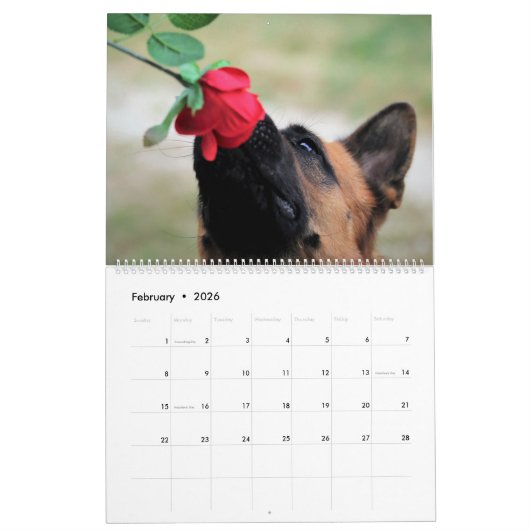 2025 Duitse herder hond muurkalender Dier Kalender (Feb 2026)