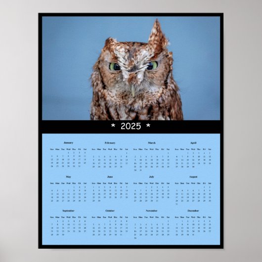 2025 Eastern Screech Owl Wall Calendar Poster (Voorkant)