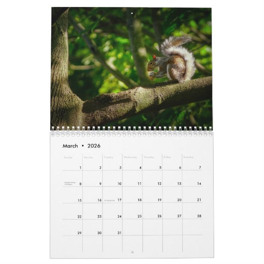 2025 Eekhoorn Kalender (Mar 2026)