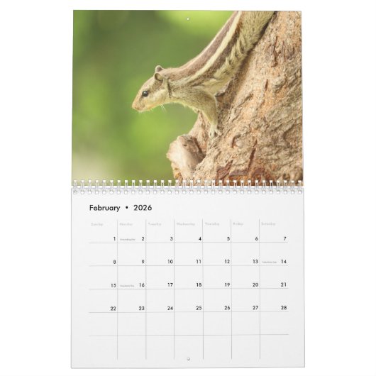 2025 Eekhoorn Kalender (Feb 2026)
