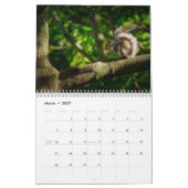 2025 Eekhoorn Kalender (Mar 2027)