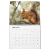 2025 Eekhoorn Kalender (Jan 2027)