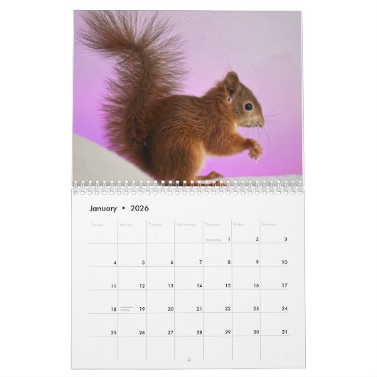 2025 Eekhoorn Kalender (Jan 2026)