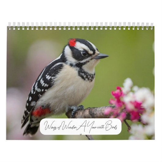 2025 Een jaar met Vogels Moderne Aangepaste Foto Kalender (Hoes)