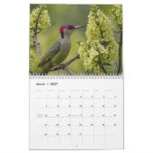 2025 Een jaar met Vogels Moderne Aangepaste Foto Kalender (Mar 2027)