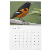 2025 Een jaar met Vogels Moderne Aangepaste Foto Kalender (Jan 2027)
