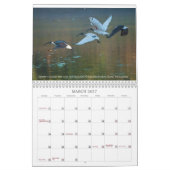 2025 Fondsenwerving Australische wildlife kalender (Mar 2027)