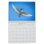 2025 Fondsenwerving Australische wildlife kalender (Jan 2027)