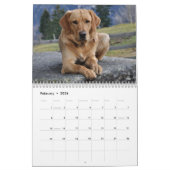 2025 gele Lab Labrador Retriever Wall Calendar Kalender (Feb 2026)