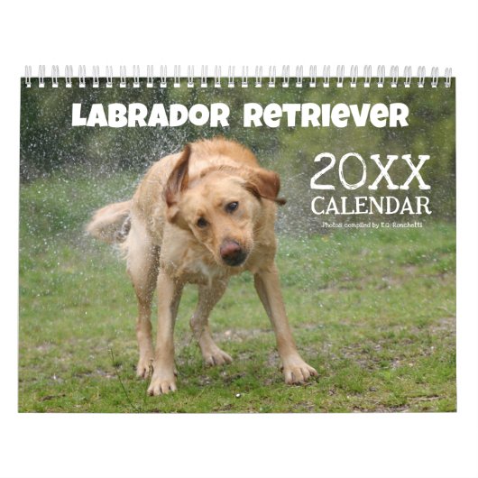 2025 gele Lab Labrador Retriever Wall Calendar Kalender (Hoes)