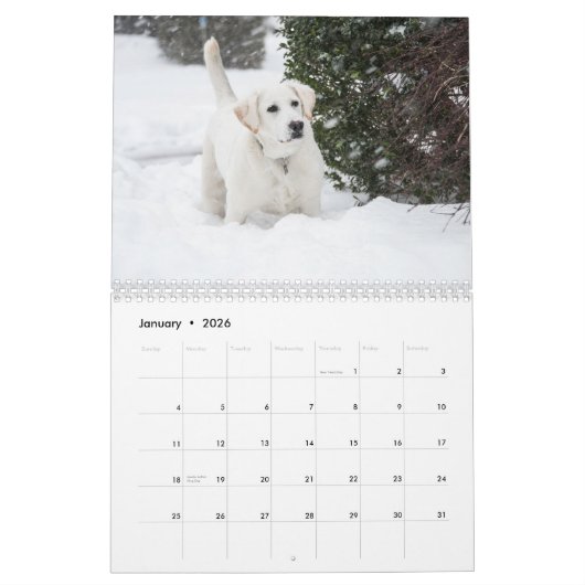 2025 gele Lab Labrador Retriever Wall Calendar Kalender (Jan 2026)
