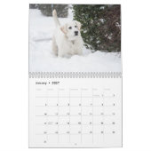 2025 gele Lab Labrador Retriever Wall Calendar Kalender (Jan 2027)
