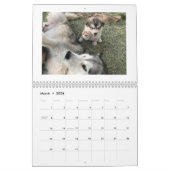 2025 Ghost Dance Alaskan Malamutes Kalender (Mar 2026)