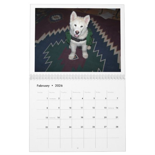 2025 Ghost Dance Alaskan Malamutes Kalender (Feb 2026)