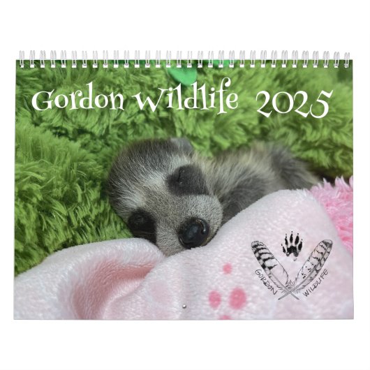 2025 Gordon Wildlife Raccoon Kalender (Hoes)