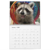 2025 Gordon Wildlife Raccoon Kalender (Jan 2027)