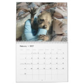 2025 Gordon Wildlife Raccoon Kalender (Feb 2027)