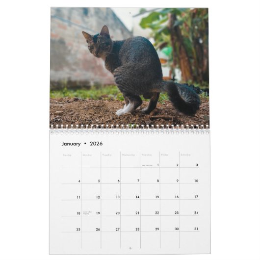 2025 Grappige katten poepen kalender gepersonalise (Jan 2026)