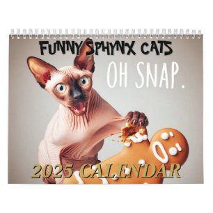 2025 Grappige Sphynx Katten en Elf Sphynx Muur Kalender