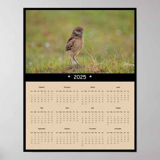 2025 Gravende Uil Wandkalender Poster (Voorkant)