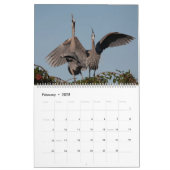 2025 Great Blue Heron Courting Displays Kalender (Feb 2025)