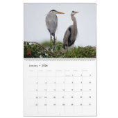 2025 Great Blue Heron Courting Displays Kalender (Jan 2026)