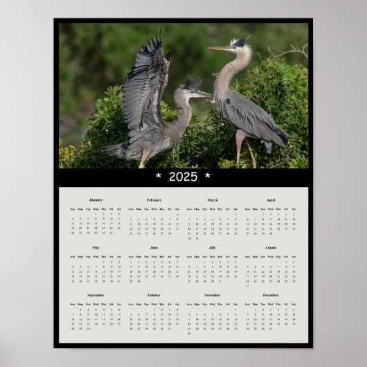 2025 Great Blue Heron Wall Calendar Poster (Voorkant)