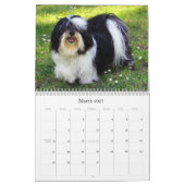 2025 Havanese Muurkalender Kalender (Mar 2027)