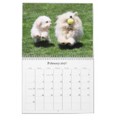2025 Havanese Muurkalender Kalender (Feb 2027)