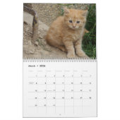 2025 Heerlijke Oranje katten Kalender (Mar 2026)