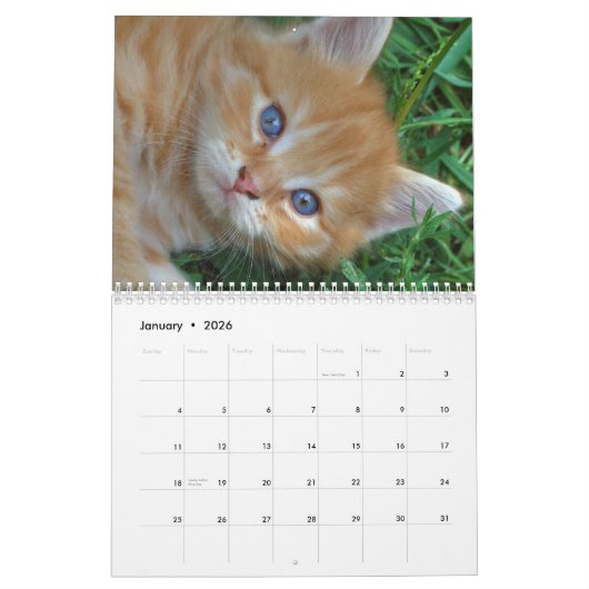 2025 Heerlijke Oranje katten Kalender (Jan 2026)
