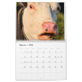 2025 Hilarische dieren gepersonaliseerd Kalender (Feb 2026)