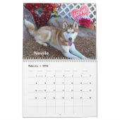 2025 Honden van het Oklahoma City Animal Shelter Kalender (Feb 2026)