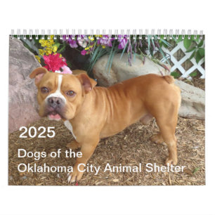 2025 Honden van het Oklahoma City Animal Shelter Kalender