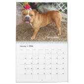 2025 Honden van het Oklahoma City Animal Shelter Kalender (Jan 2026)