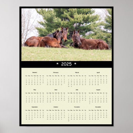 2025 Horses Muur Kalender Poster (Voorkant)