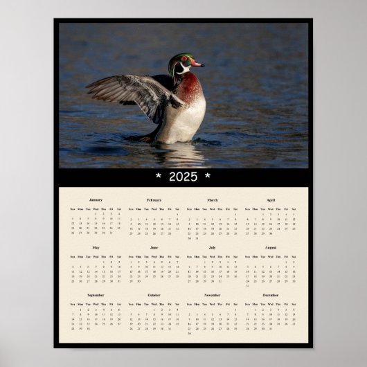 2025 Houten Eend Drake Wandkalender Poster (Voorkant)