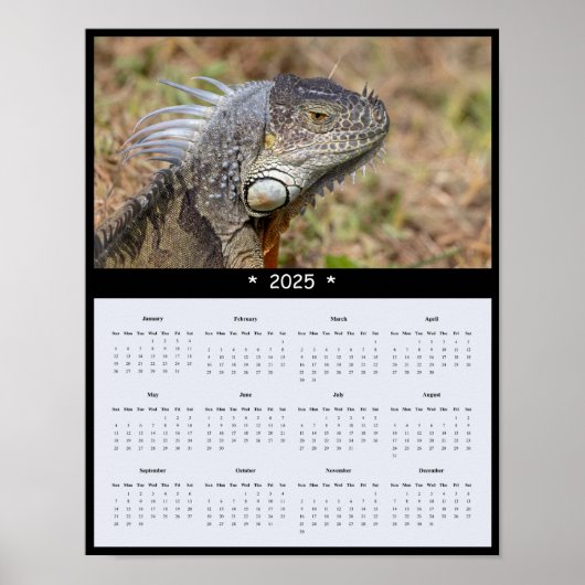 2025 Iguana Muurkalender Poster (Voorkant)