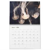 2025 Jellyfish Kalender (Mar 2026)