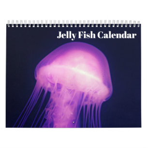 2025 Jellyfish Kalender