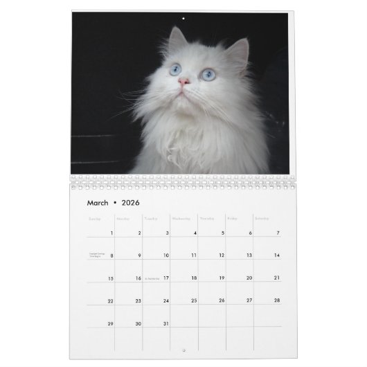 2025 KALENDER (Mar 2026)