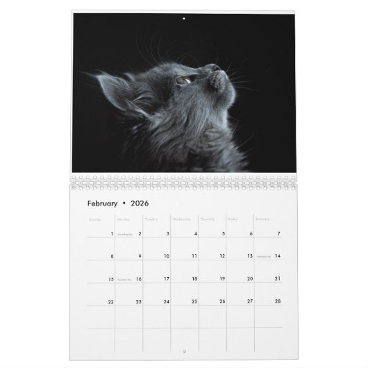 2025 KALENDER (Feb 2026)