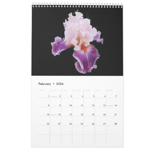 2025 Kalender 2025 Violette Bloemen (Feb 2026)