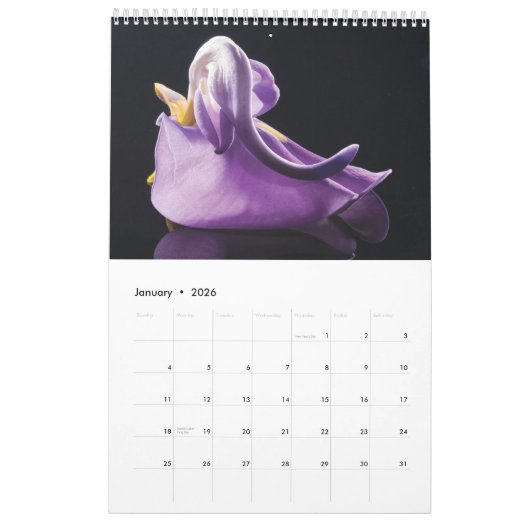 2025 Kalender 2025 Violette Bloemen (Jan 2026)