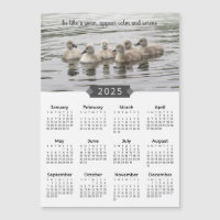 2025 Kalender Baby Zwanen Fotomagneet