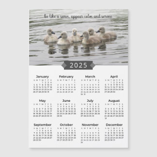 2025 Kalender Baby Zwanen Fotomagneet